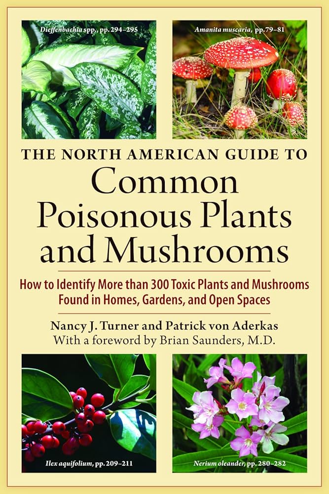 Guide to poisonous and toxic houseplants
