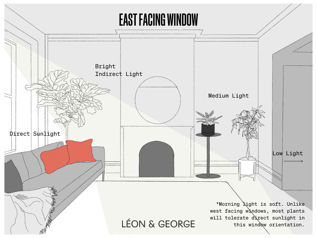 Indoor plant light guide for optimal growth